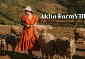[รีวิว] Akha FarmVille ฟาร์มแกะ วิวพาโนราม่าสุดปัง บนดอยช้าง จ.เชียงราย