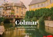 เที่ยวฝรั่งเศสด้วยตัวเอง : เมือง Colmar หลุดเข้าไปในโลกเทพนิยาย กับเมืองแสนน่ารักในชนบทฝรั่งเศส