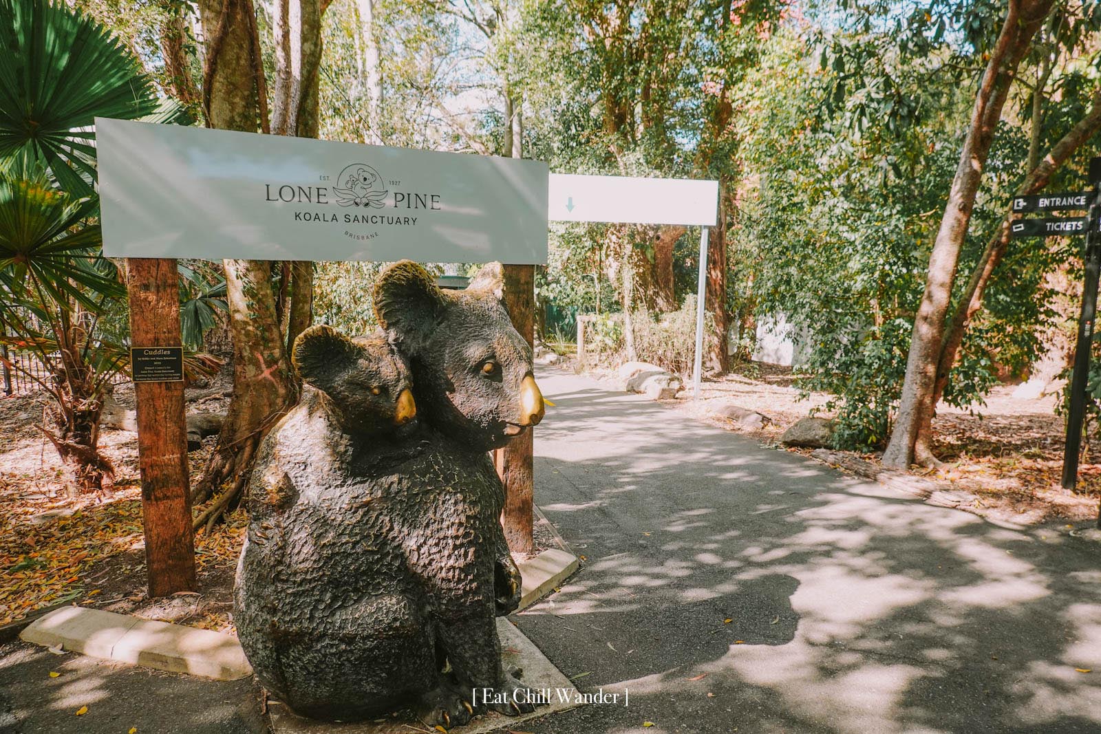 [รีวิว] อุ้มโคอาล่า เล่นกับจิงโจ้ ที่ Lone Pine Koala Sanctuary บริสเบน ...