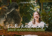 [รีวิว] อุ้มโคอาล่า เล่นกับจิงโจ้ ที่ Lone Pine Koala Sanctuary บริสเบน ออสเตรเลีย!